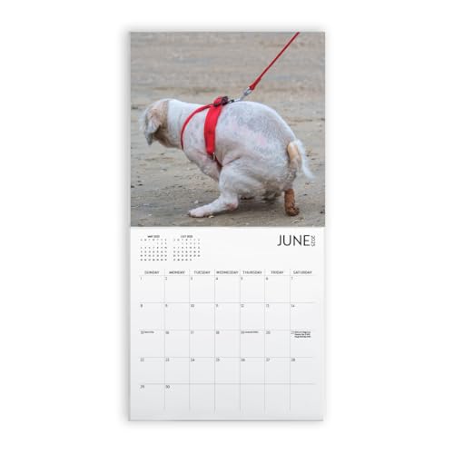 Dog Pooping Calendar 2024, 12 x 12 inch, Funny Gift, White Elephant, Gag Gift, Secret Santa