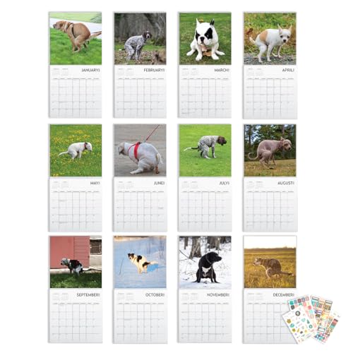 Dog Pooping Calendar 2024, 12 x 12 inch, Funny Gift, White Elephant, Gag Gift, Secret Santa