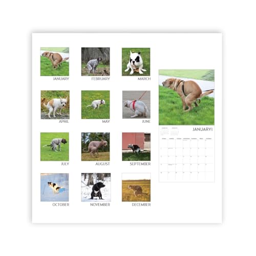 Dog Pooping Calendar 2024, 12 x 12 inch, Funny Gift, White Elephant, Gag Gift, Secret Santa