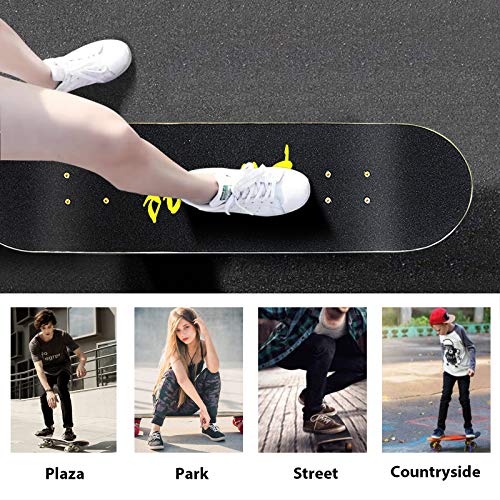 Skateboards -Standard Skateboards for Kids Boys Girls Youths Beginners Starter-Complete Skate Boards 31''x 8''Canadian Maple Pro Cruiser