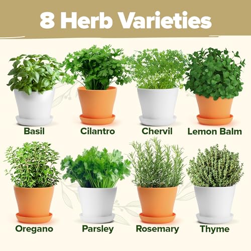 HOME GROWN Deluxe 8 Herb Garden Kit – Best Unique Mother's Day Gardening Gift for Women, Mom, Her – Kitchen Gifts for Gardeners Friend, New Home Housewarming Plant Starter