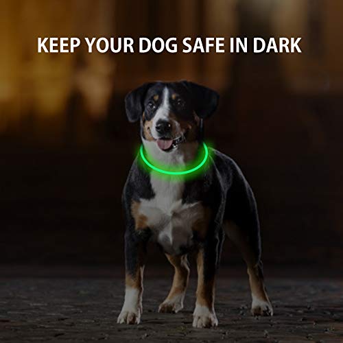 Novkin 2-Pack LED Dog Collar, Light Up Dog Collars,Rechargeable Dog Lights for Night Walking，Universal, Reusable Safety Necklace for Small Medium Large Dogs Green&Blue