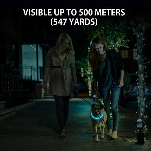 Novkin 2-Pack LED Dog Collar, Light Up Dog Collars,Rechargeable Dog Lights for Night Walking，Universal, Reusable Safety Necklace for Small Medium Large Dogs Green&Blue