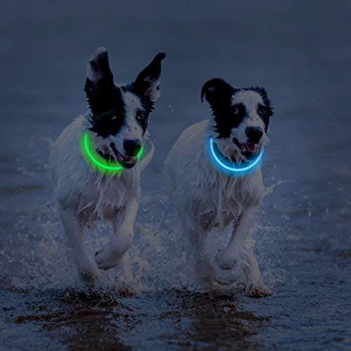 Novkin 2-Pack LED Dog Collar, Light Up Dog Collars,Rechargeable Dog Lights for Night Walking，Universal, Reusable Safety Necklace for Small Medium Large Dogs Green&Blue