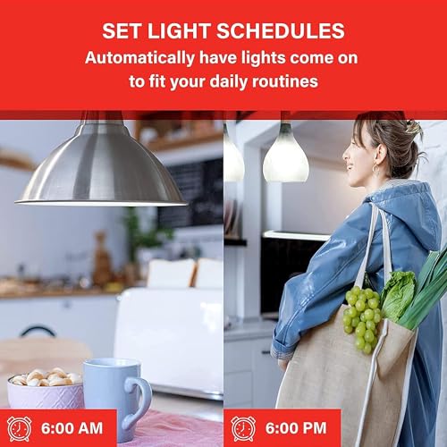 Sengled Alexa WiFi Light Bulb - Smart Bulbs That Work with Alexa/Google Assistant, A19 Daylight (5000K) - No Hub Required, 800LM 60W High CRI)60 Equivalent, 4 Count (Pack of 1)