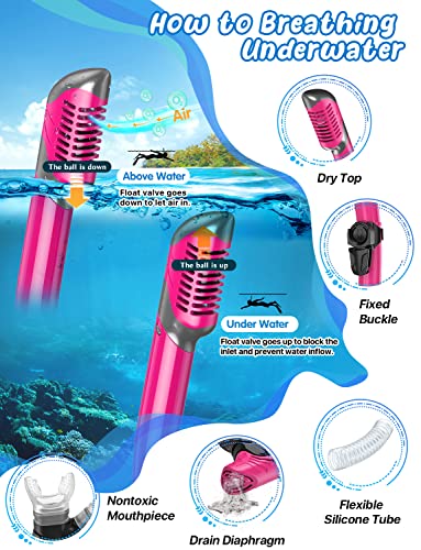 Zenoplige Mask Fins Snorkel Set, Snorkeling Gear for Adults, Panoramic View Snorkel Mask Anti-Fog, Adjustable Dive Flippers, Dry Top Snorkel and Travel Bag, Scuba Gear for Swimming Snorkeling Diving