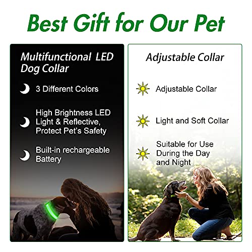 LED Dog Collar- Light up Dog Collars, LED Collar Waterproof, Adjustable Flashing Dog Collar, Rechargeable Dog Collar Visiblity & Safety for Your Dogs (Green, Large)