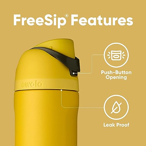 Owala Harry Potter FreeSip Insulated Stainless Steel Water Bottle with Straw, BPA-Free Sports Water Bottle, Great for Travel, 24 oz, Hufflepuff