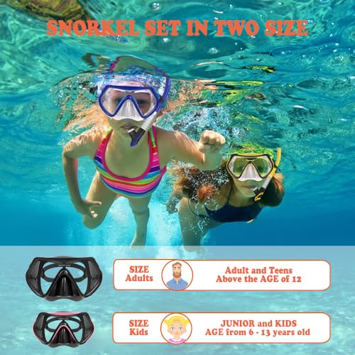 WACOOL Professional Snorkeling Snorkel Diving Scuba Package Set with Anti-Fog Coated Glass Purge Valve and Anti-Splash Silicon Mouth Piece for Men Women