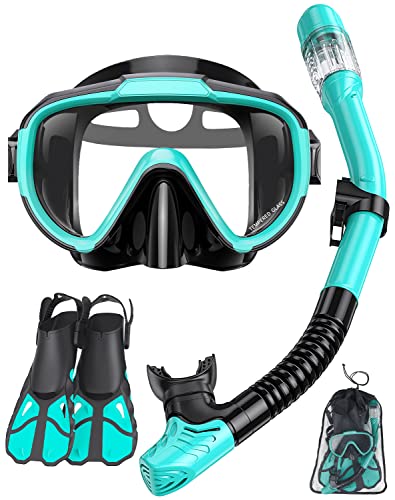 Snorkel Set with Fins for Adults, Mask Fins Snorkel Gear for Men and Women, Dry Top Snorkel Mask Snorkel Fins Combo Set with Travel Bag for Snorkeling, Diving, Swimming