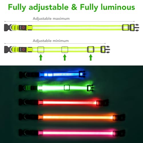 Vizpet LED Dog Collar, Light Up Dog Collar Adjustable USB Rechargeable Super Bright Safety Light Glowing Collars for Dogs(Large,Green)