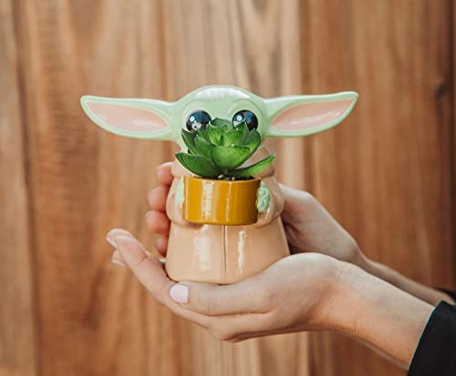 Silver Buffalo Star Wars: The Mandalorian Baby Yoda The Child Grogu 4-Inch Ceramic Mini Planter with Artificial Succulent