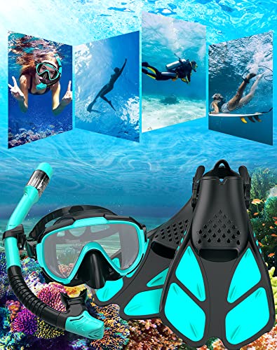 Snorkeling Gear for Adults Men Women,4 in 1 Snorkel Set with Panoramic View Diving Mask Anti-Fog Anti-Leak,Dry Top Snorkel,Fins and Travel Bag for Swimming,Snorkeling and Travel Diving