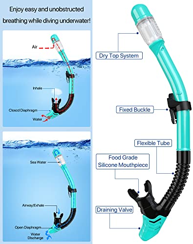 Snorkeling Gear for Adults Men Women,4 in 1 Snorkel Set with Panoramic View Diving Mask Anti-Fog Anti-Leak,Dry Top Snorkel,Fins and Travel Bag for Swimming,Snorkeling and Travel Diving