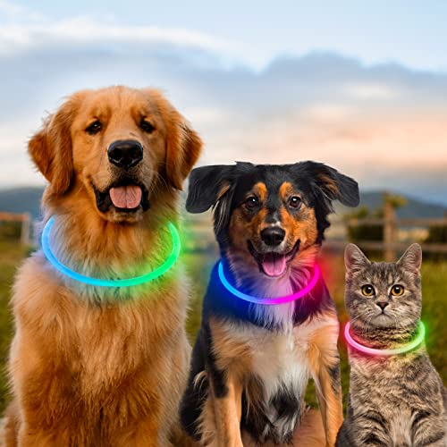 Light Up Dog Collars, Multi-Color USB Rechargeable Dlitk LED Dog Collar 1 Count, TPU Cuttable Size Glow Collar for Dogs, Dog Collar Light, Please Do Not Use Fast Charging (Green+Blue)