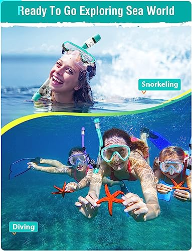 Snorkel Set Adults Snorkeling Gear Anti-Fog Panoramic View Swim Mask Dry Top Snorkel Kit with Carry Bag for Snorkeling Scuba Diving Swimming Travel