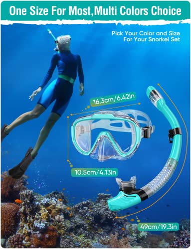 Snorkel Set Adults Snorkeling Gear Anti-Fog Panoramic View Swim Mask Dry Top Snorkel Kit with Carry Bag for Snorkeling Scuba Diving Swimming Travel