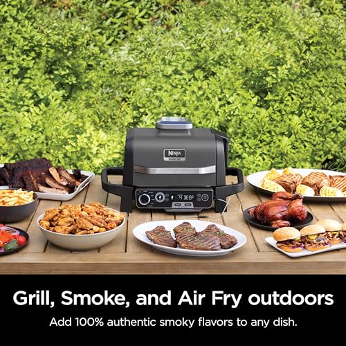 Ninja Woodfire Pro 7-in-1 Grill & Smoker with Thermometer, Air Fryer, BBQ, Bake, Roast, Broil - Portable Electric Outdoor Grill, Grey