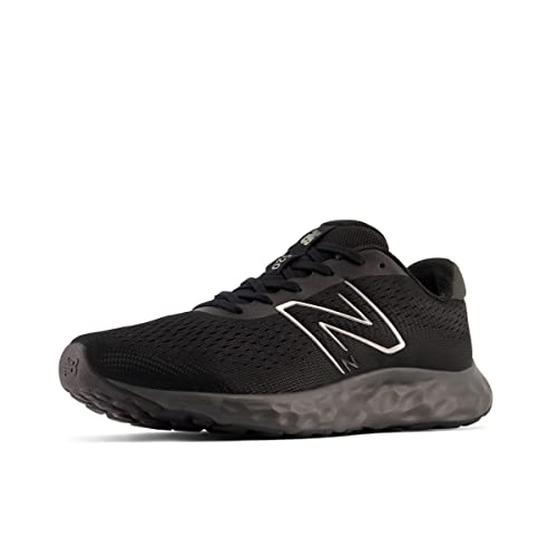 New Balance Men's 520 V8 Running Shoe