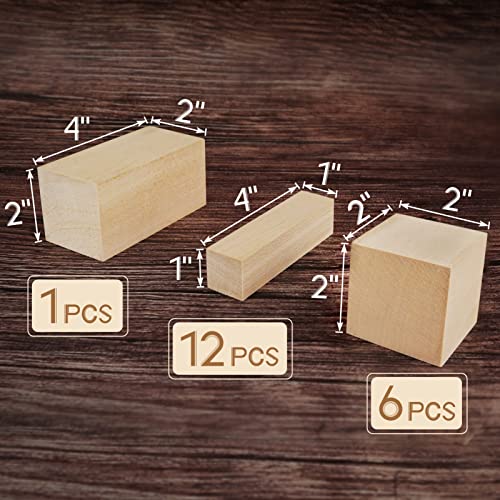 Basswood Carving Blocks, 19PCS Whittling Wood Blocks Wood Carving Kit with 3 Different Sizes, Bass Wood for Wood Carving Easy to Use, for Kids and Adults