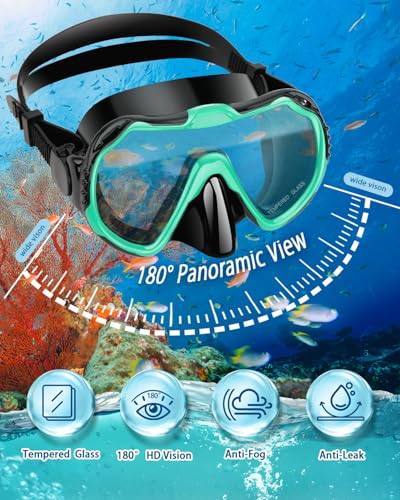 Snorkeling Gear for Adults, Dry Snorkel Set, Panoramic Anti-Leak and Anti-Fog Tempered Glass Lens, Adjustable Snorkeling Gear with Mesh Bag Ear Plug for Snorkeling Scuba Diving Travel