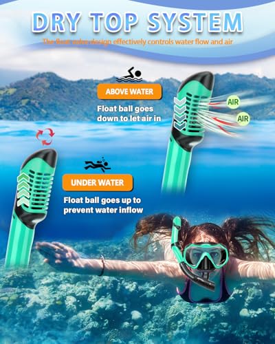 Snorkeling Gear for Adults, Dry Snorkel Set, Panoramic Anti-Leak and Anti-Fog Tempered Glass Lens, Adjustable Snorkeling Gear with Mesh Bag Ear Plug for Snorkeling Scuba Diving Travel