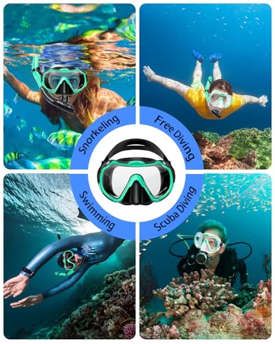 Snorkeling Gear for Adults, Dry Snorkel Set, Panoramic Anti-Leak and Anti-Fog Tempered Glass Lens, Adjustable Snorkeling Gear with Mesh Bag Ear Plug for Snorkeling Scuba Diving Travel