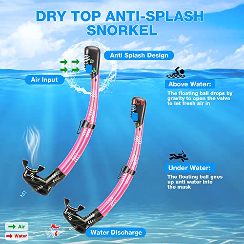 Snorkeling Gear for Adults, Dry Adult Snorkel Set HD Panoramic View Snorkel Mask Set, Anti-Leak and Anti-Fog Scuba Diving Package with Mesh Bag Ear Plug for Snorkeling Scuba Diving Travel