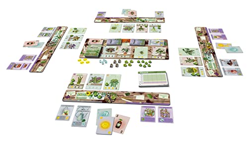 Planted Game by Phil Walker-Harding - Buffalo Games - Collect and nurture your houseplants.- Adult game night - Deck building game