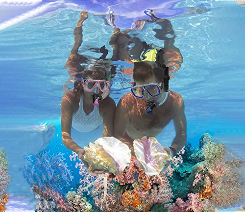 2022 Version Adults Mask Fins Snorkel Set, Snorkeling Gear for Adult with Fins, Snorkel Sets with Flippers, Adult Anti Leak Scuba Gear with Adjustable Fins Diving Mask Full Dry Top Snorkel with Bag