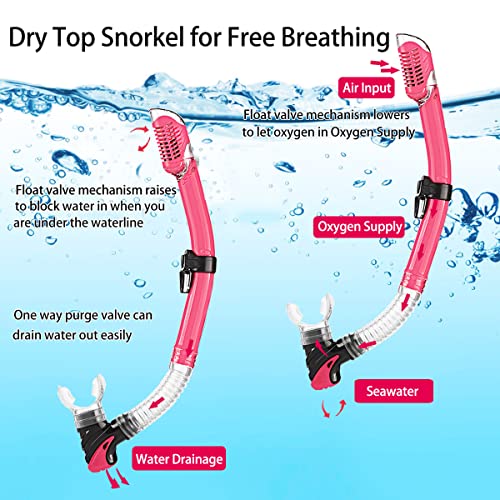 2022 Version Adults Mask Fins Snorkel Set, Snorkeling Gear for Adult with Fins, Snorkel Sets with Flippers, Adult Anti Leak Scuba Gear with Adjustable Fins Diving Mask Full Dry Top Snorkel with Bag