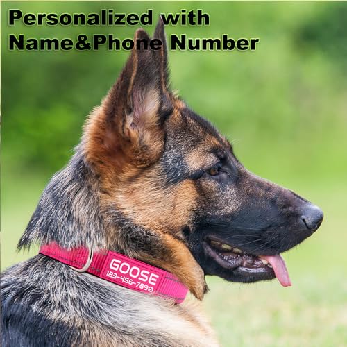 Personalized Dog Collars Custom with Pet Name and Phone Number, Soft Neoprene Padded Reflective Nylon Collar, 4 Adjustable Sizes - for Boy, Girl Dogs