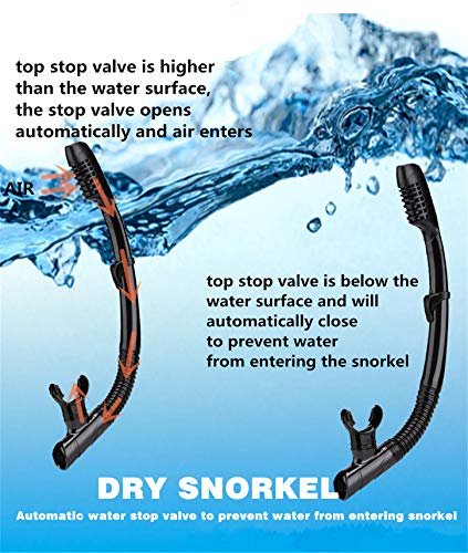 Snorkel mask Snorkeling Set for Adults and Youth, Diving mask and Full Dry Snorkel Swim Googles is Suitable for Snorkeling, Dive Scuba Diving, Swimming