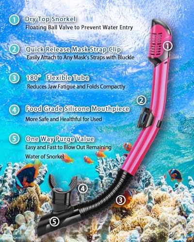 Snorkeling Gear for Adults Kids, Dry Snorkeling Set, Panoramic Anti-Leak and Anti-Fog Tempered Glass Lens, Adjustable Strap Snorkel Set with Mesh Bag Ear Plug for Snorkeling Scuba Diving Travel