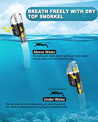 Bairuifu Professional Frameless Mask and Snorkel Set, 180° Panoramic Anti-Leak, Anti-Fog Tempered Glass Lens, Food Grade Silicone Full Dry Top Snorkel Set with Travel Bags