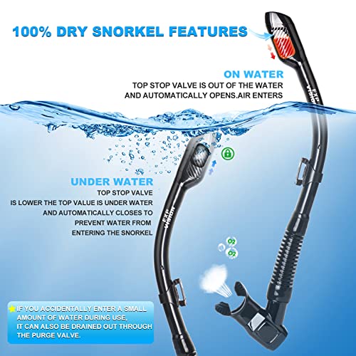 Snorkel Set Pano 4 Adult Snorkeling Gear, Professional Anti-Fog Snorkel Mask Dry Top Snorkel, Tempered Glass Scuba Diving Mask for Freediving, Snorkeling and Swimming