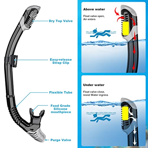 Mask Fin Snorkel Set, Snorkeling Gear for Adults with Panoramic View Mask, Dry Top Snorkel, Adjustable Swim Fins and Travel Bag, Man Woman Snorkel Gear for Swimming Snorkeling Diving