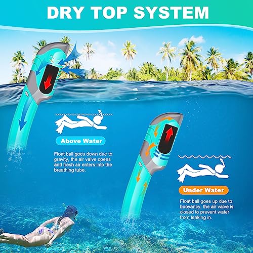 Snorkeling Gear for Adults, ZIPOUTE PRO Snorkel Mask Adult Snorkel Set, Anti-Fog Scuba Diving Mask Panoramic View Scuba Gear, Tempered Glass Snorkel Goggles Swim Masks for Adults