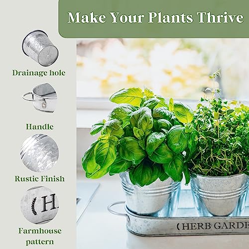 PERFNIQUE Indoor Herb Garden, Herb Garden Planter for Indoor/Outdoor, Farmhouse Plant Pots, Windowsill Herb Garden with Tray(Planter only) Window Pots