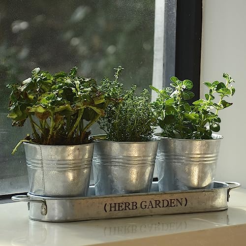 PERFNIQUE Indoor Herb Garden, Herb Garden Planter for Indoor/Outdoor, Farmhouse Plant Pots, Windowsill Herb Garden with Tray(Planter only) Window Pots