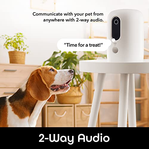 Geeni PetConnect Treat + Cam, Smart Treat Dispenser with Smart Home Pet Camera, Timer & Voice, Automatic Dog or Cat Feeder, Compatible with Alexa & Google