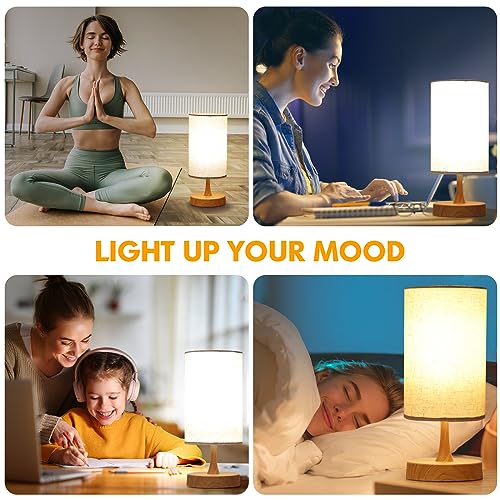 Caromolly Light Therapy Lamp, Sunlight Lamp 10000 Lux with Remote Control, 3 Color Temperature & 4 Brightness Level & Timer, Daylight Lamp for Home, Office, Decoration