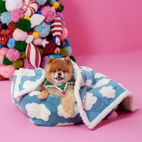 Lesure Waterproof Puppy Blanket for Small Dogs - Washable Double Sided Dog Blankets with Warm Jacquard Shag and Soft Sherpa Fleece, Pet Cat Blanket for Couch Protection, 3D Textured Cloud, Blue