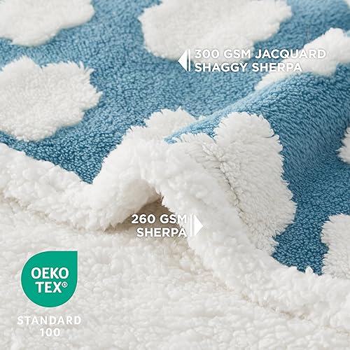 Lesure Waterproof Puppy Blanket for Small Dogs - Washable Double Sided Dog Blankets with Warm Jacquard Shag and Soft Sherpa Fleece, Pet Cat Blanket for Couch Protection, 3D Textured Cloud, Blue