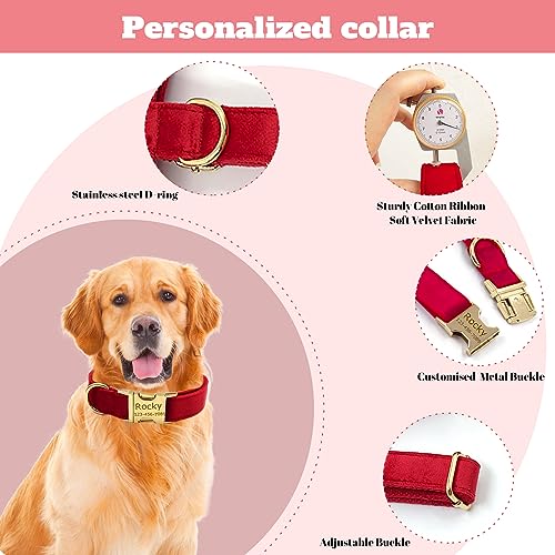 Custom Personalized Dog Collars with Pet Name/Phone Number Engraved Gold Metal Buckle - Adjustable Sizes Soft Thick Velvet Collar for Small Medium Large Dogs 4 Colors - Dog Leash and Bow Tie Available