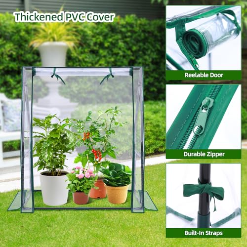 Mini Greenhouse for Indoor Outdoor: Ohuhu Tabletop Portable Green House with Waterproof Pad for Small Plants Nursery Germination, 36"x36"x42" Light Duty Cover Tent Humidity Dome Seedling Accessory