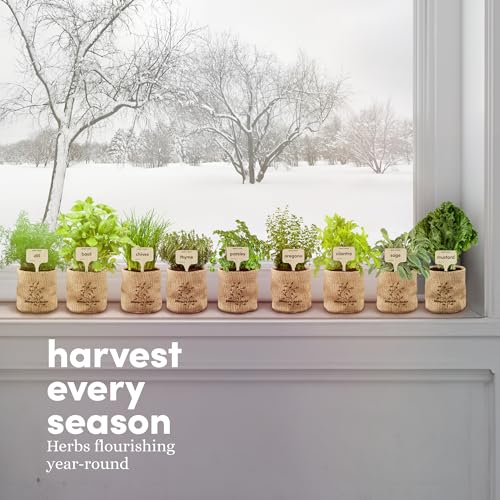 9 Herb Indoor Window Garden Kit - House Plants Seeds - Best Unique Easter Gift Ideas for Women, Mom, Friend, Her, Birthday, Housewarming, Mother - New Home Kitchen Gifts - Live Plant Starter