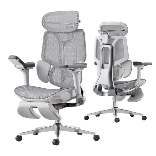 Hbada E3 Ergonomic Office Chair with Dynamic Support