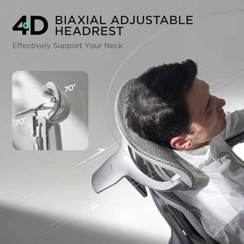 Hbada E3 Ergonomic Office Chair with Dynamic Support