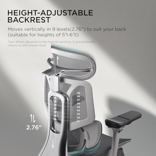 Hbada E3 Ergonomic Office Chair with Dynamic Support